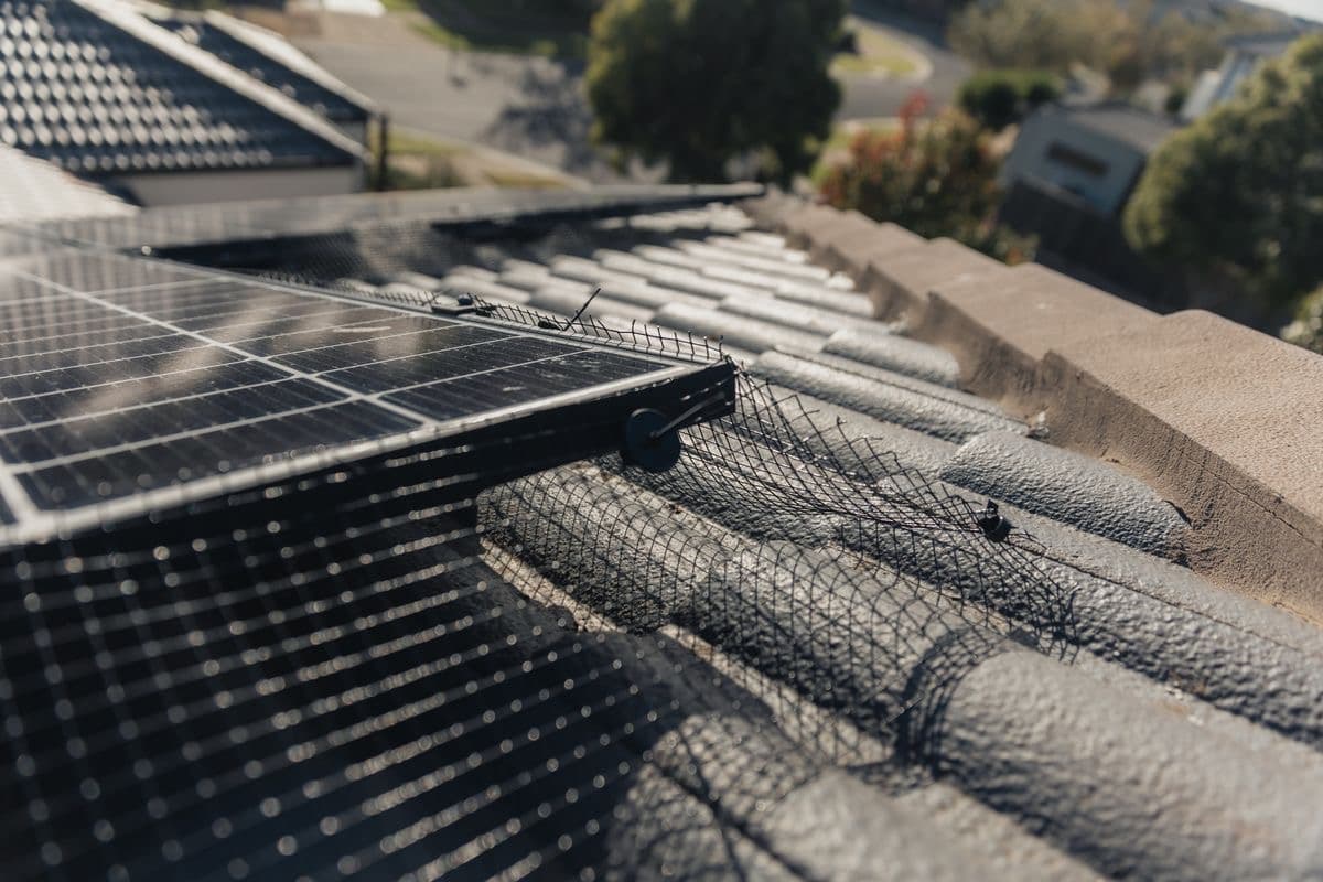 Galvanized perimeter mesh clipped along the edge of a rooftop solar panel, closing the gap down to the tile roof